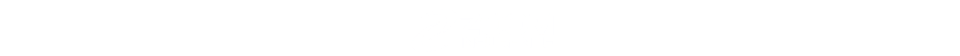 Zoom Insurance